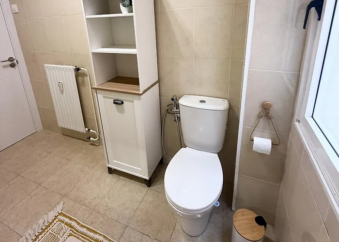 Daire Confort Y Estilo En Ferrol